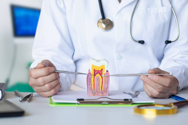 Best Broken or Cracked Tooth Emergency Dentist in Amelia, OH